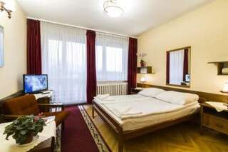 Отель Hotel PRL RZEMIEŚLNIK Закопане Номер Делюкс с кроватью размера «queen-size»-1